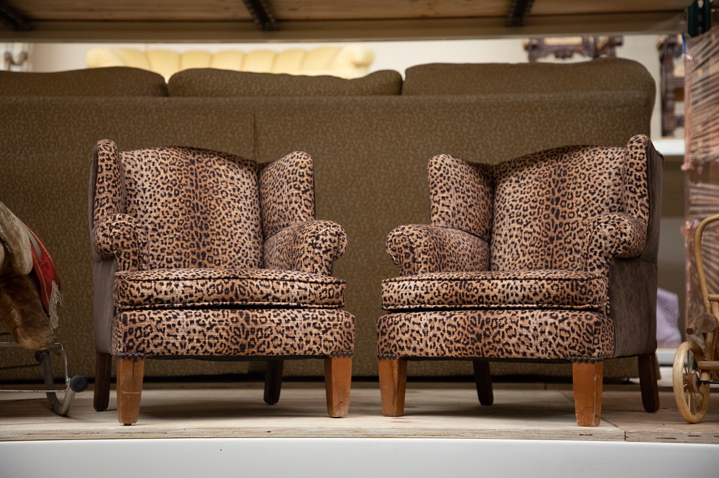 leopard chairs for rent philadelphia